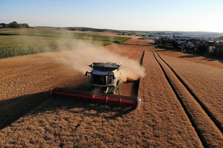 В РФ собрали около 102 миллионов тонн пшеницы